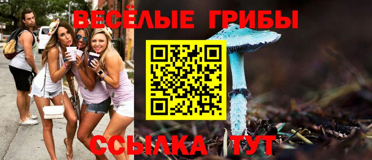 Галлюциногенные грибы прущие грибы Юрга