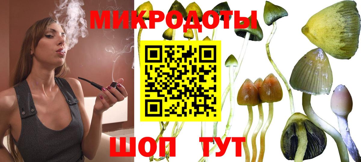 Юрга  Псилоцибиновые грибы MAGIC MUSHROOMS  Вход с VPN 